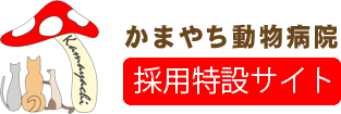 かまやち動物病院　ホームへ